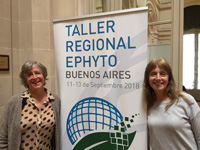 STRAUSS & STRAUSS Traductores e Intérpretes