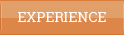 EXPERIENCE