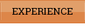 EXPERIENCE